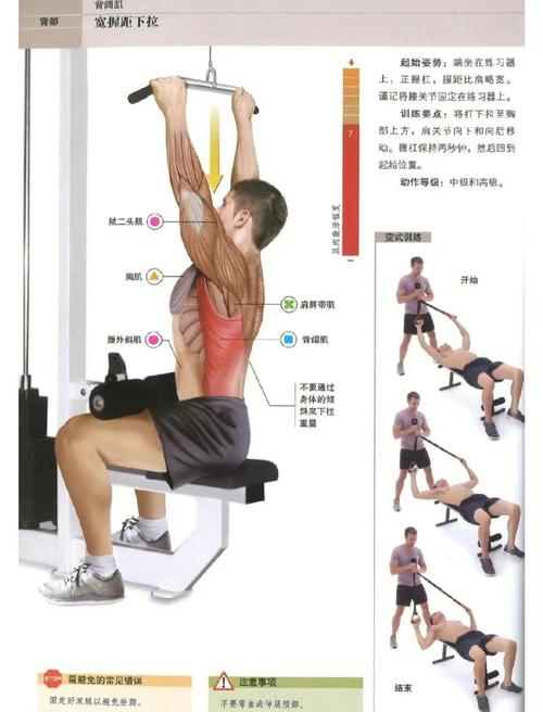 如何通过15分钟锻炼快速塑造迷人锁骨和背部线条？