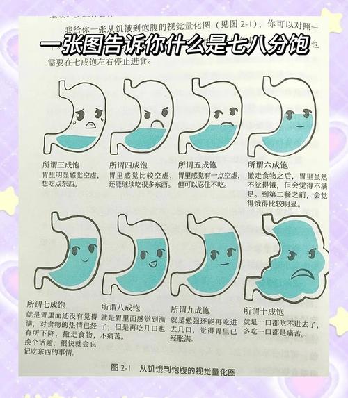 饱腹感如何影响人体代谢？专业人士如何看待其作用与机制？