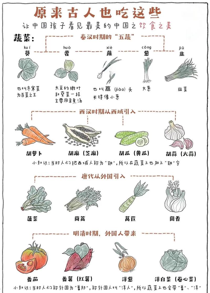 一年只吃同样食物，会有哪些意想不到的体验和变化呢？