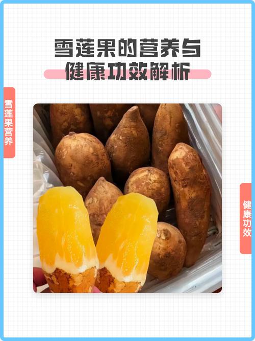 雪莲果真的能帮助通便排毒和减肥吗？