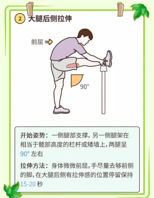 运动前后进行伸展运动是否真的有必要呢？