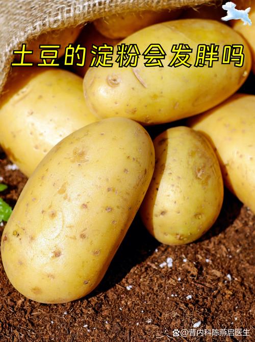吃淀粉食物，难道就不会长胖吗？