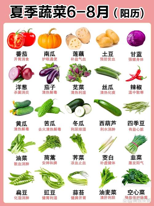 蔬果密码中，你知道哪些蔬果的详细密码信息？
