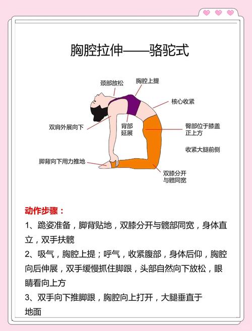 如何通过两组瑜伽拉伸动作专门减少上半身脂肪？
