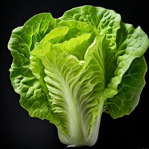 秋季最适合减肥的蔬菜是哪些？