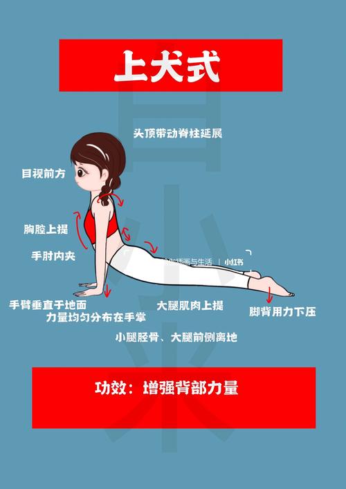 如何通过一周内做这3个简单运动快速拥有苗条美背？