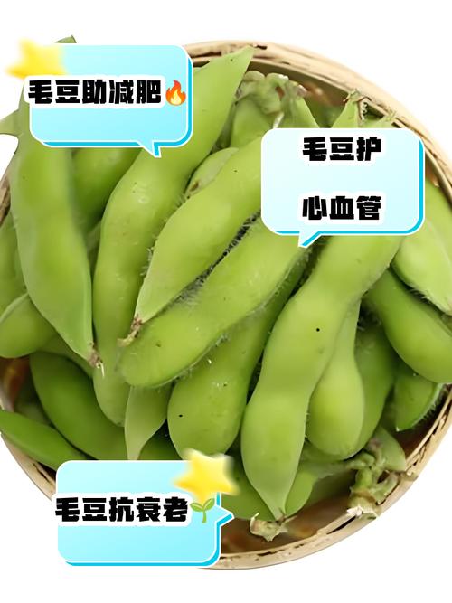 毛豆营养丰富，能降低血脂、帮助减肥吗？