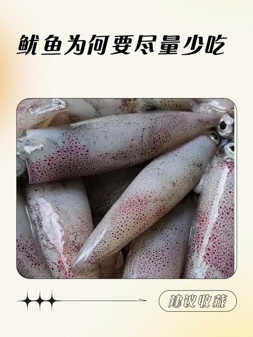 鱿鱼真的等于40口肥肉吗？如何安心享用鱿鱼而不担心健康？