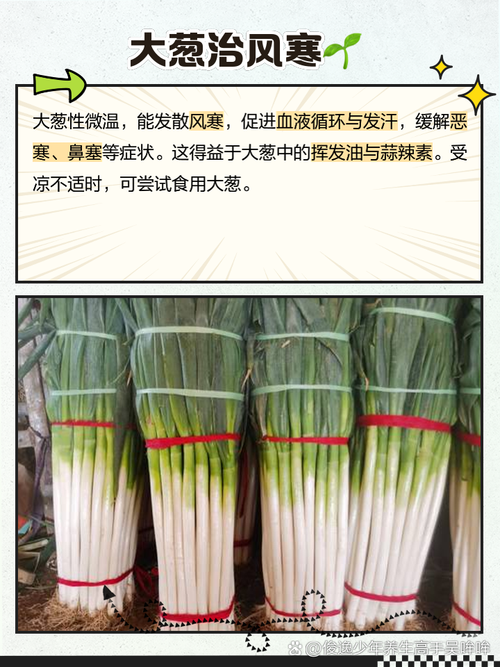 葱真的能帮助促进脂肪分解，实现减肥效果吗？