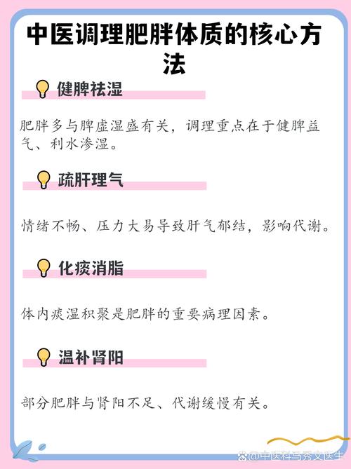 中医如何看待肥胖与体质的关系，有哪些独特的调理方法？