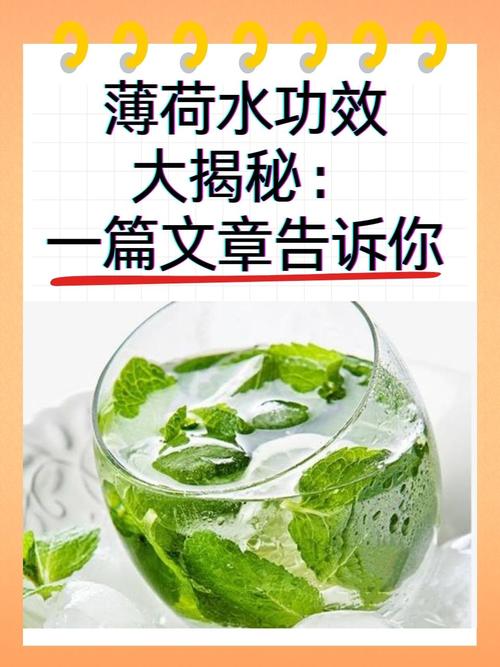 薄荷香气真的能帮助减肥吗？一天内能减掉2000卡路里吗？