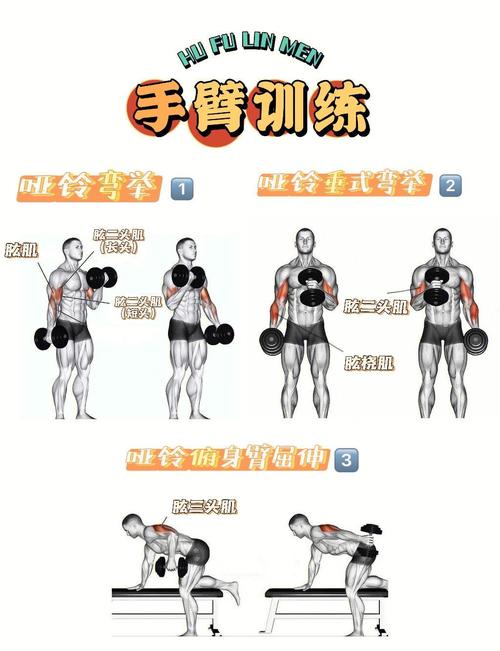 肌肉训练会不会帮助我们减少体重，实现更苗条的身材？
