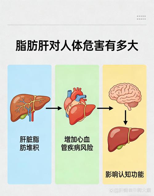 脂肪肝有哪些潜在严重危害？