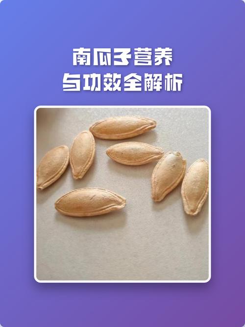 为什么南瓜子是吃不胖的最佳零食呢？
