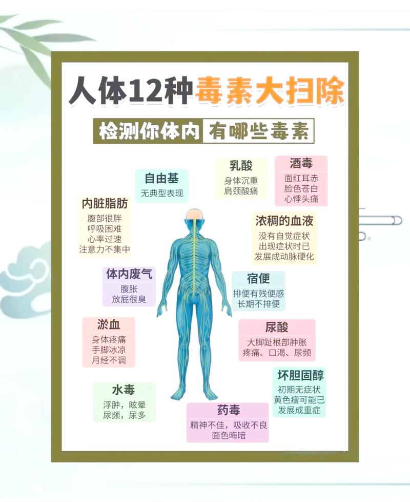 如何通过养成排毒促代谢的10个习惯，有效扫清体内厚脂肪呢？
