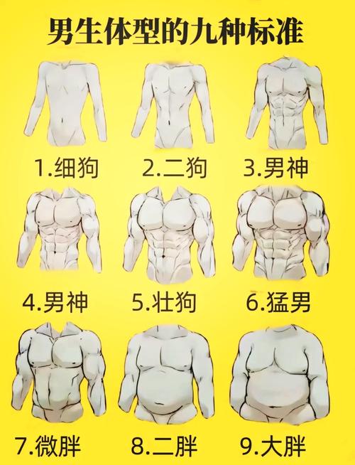 男人眼中，哪种体型可以被称为最完美呢？