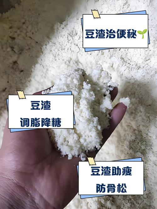 豆渣中富含的粗纤维是否真的具有减肥效果呢？