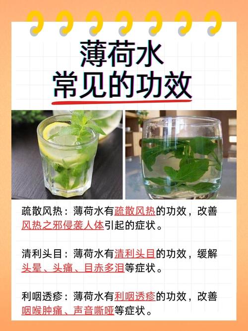 薄荷香气真的能帮助减肥吗？一天内能减掉2000卡路里吗？