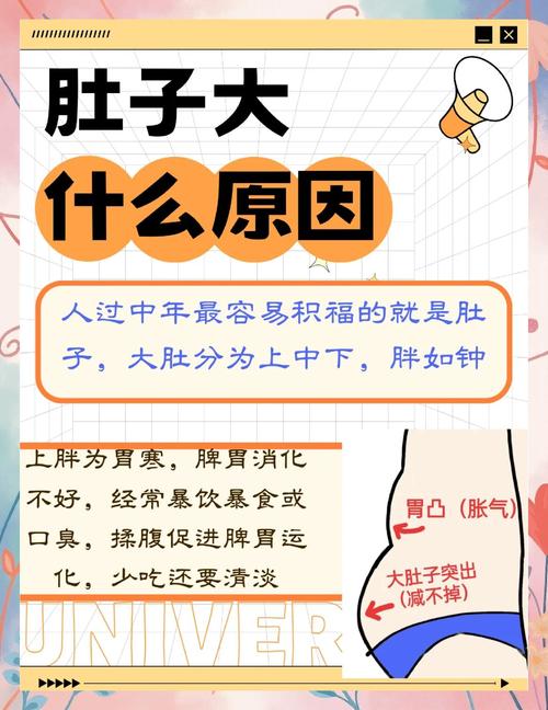 为什么吃得不多的人肚子却会变得很大？
