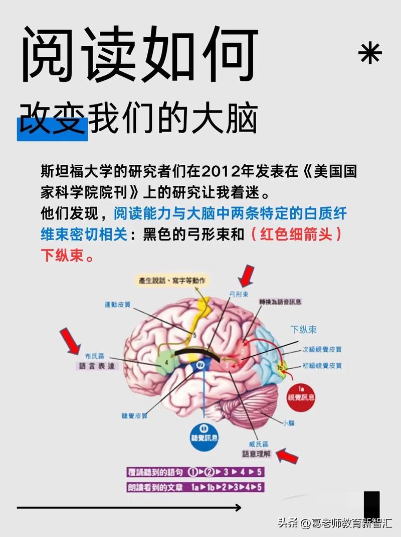 科学家发现的能控制食欲的脑细胞，能为吗？