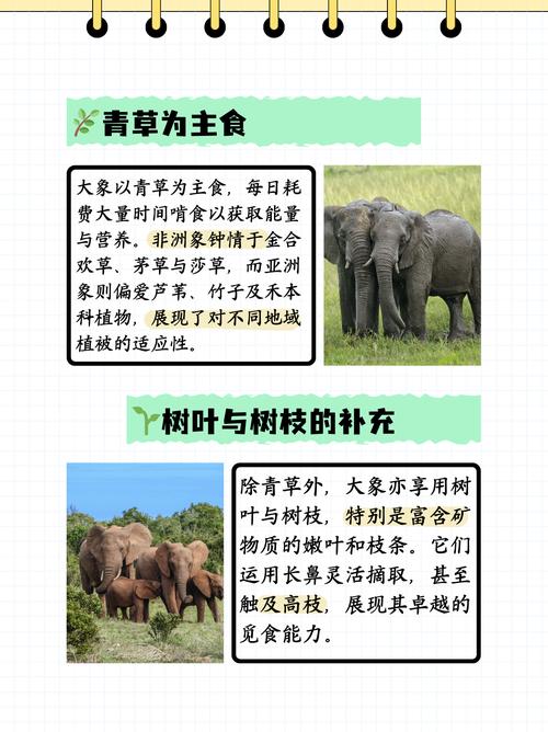 为什么减肥要学习食草动物的饮食习惯呢？