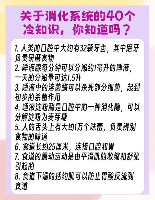 消化系统有哪些不为人知的10个秘密？