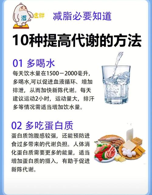 如何通过10个方法有效提升人体新陈代谢？