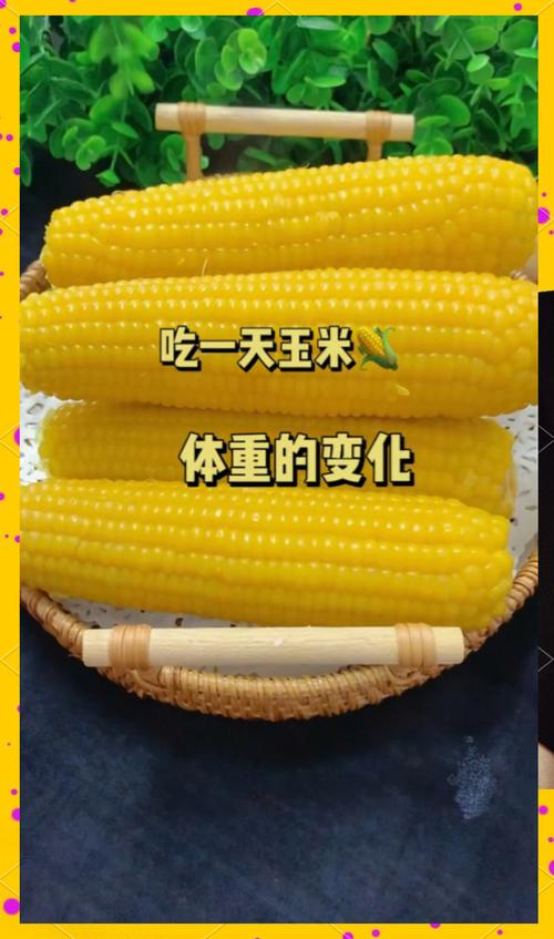玉米减肥法真的能快速瘦身吗？