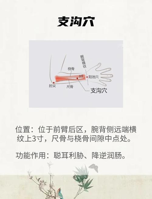 有没有什么方法可以快速有效缓解便秘，效果特别显著呢？