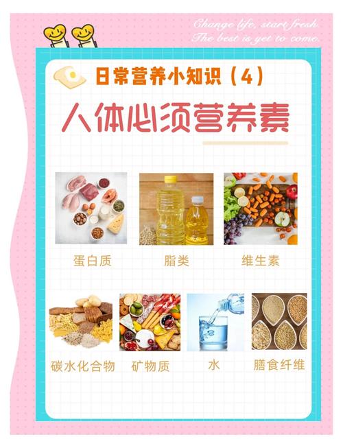 隔天聚餐需要补充哪些营养素才能满足身体需求？