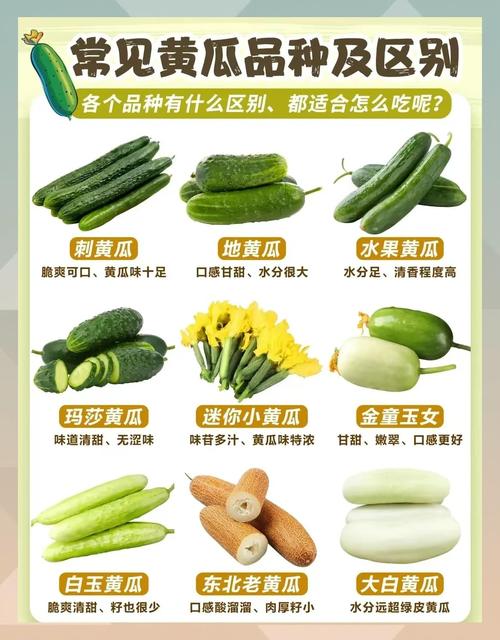 黄瓜真的能成为顶级天然护肤品吗？盘点5大廉价护肤圣品有哪些？