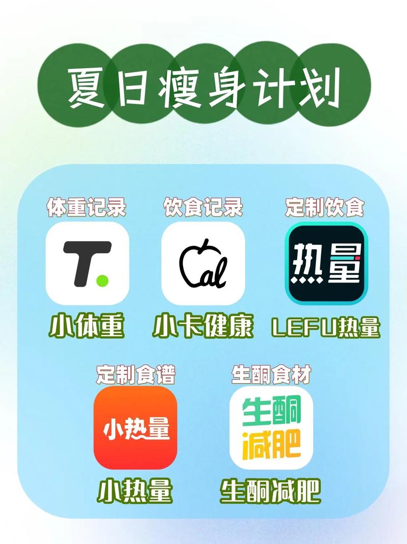 夏日甩肉计划如何做到既健康又快速？
