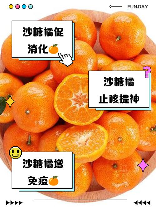 为什么吃柑橘类水果对减重效果这么好呢？