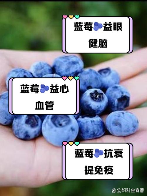 为什么吃蓝莓能成为减小肚腩的好方法？