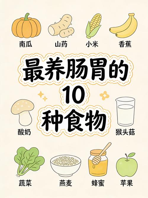 肠道最喜欢哪些食物？盘点4种对肠道有益的美食是哪些？