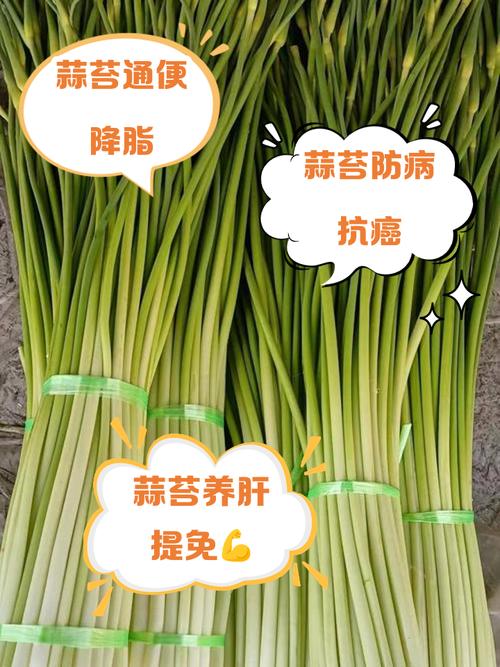 蒜薹如何有效治疗便秘，蒜苗能预防流感吗？