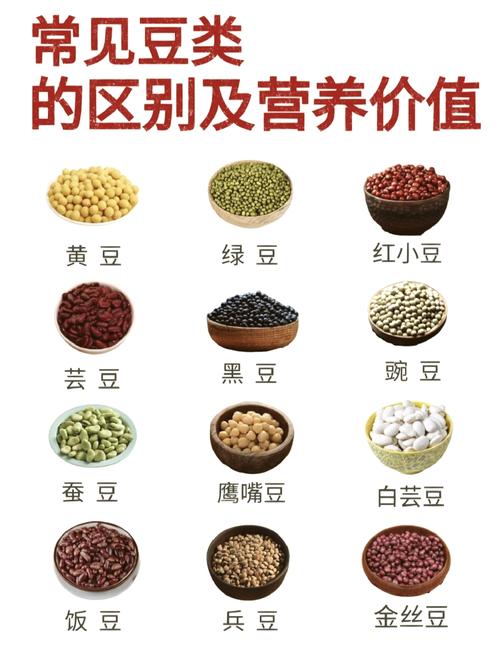 豆类食品能替代实现健康减肥吗？