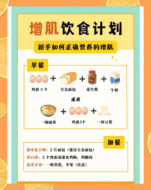 如何通过均衡三餐摄入蛋白质来有效长肌肉呢？