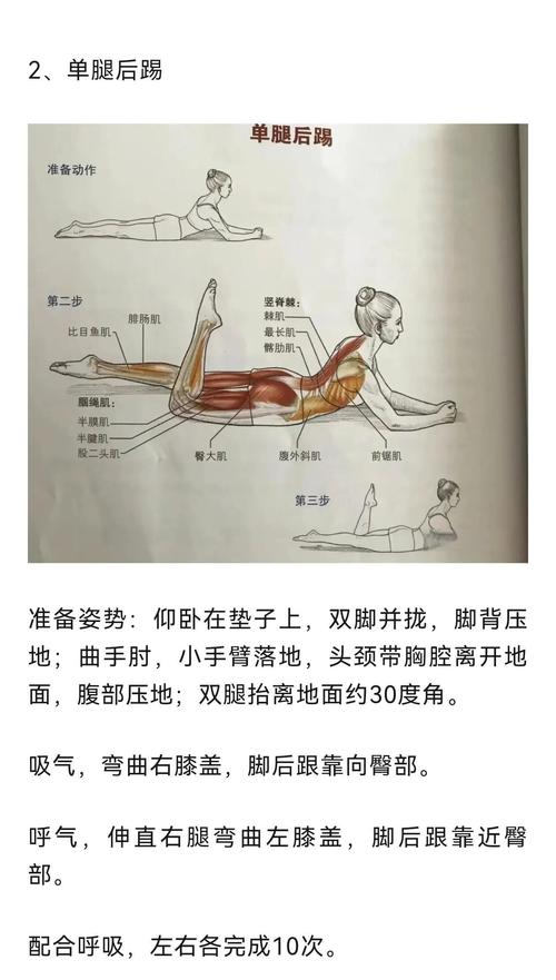 如何通过五个动作有效美化背部曲线？