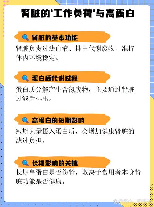 高蛋白饮食减肥法会不会导致肌肉耗损和加重肝肾负担呢？