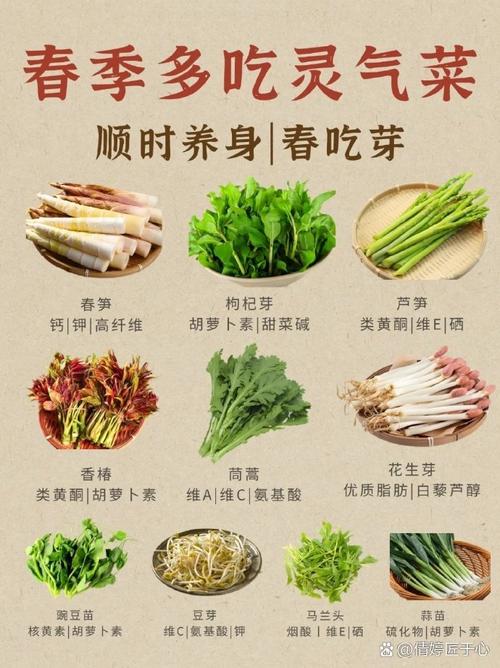 多吃叶菜和萝卜，真的能让我更有魅力吗？