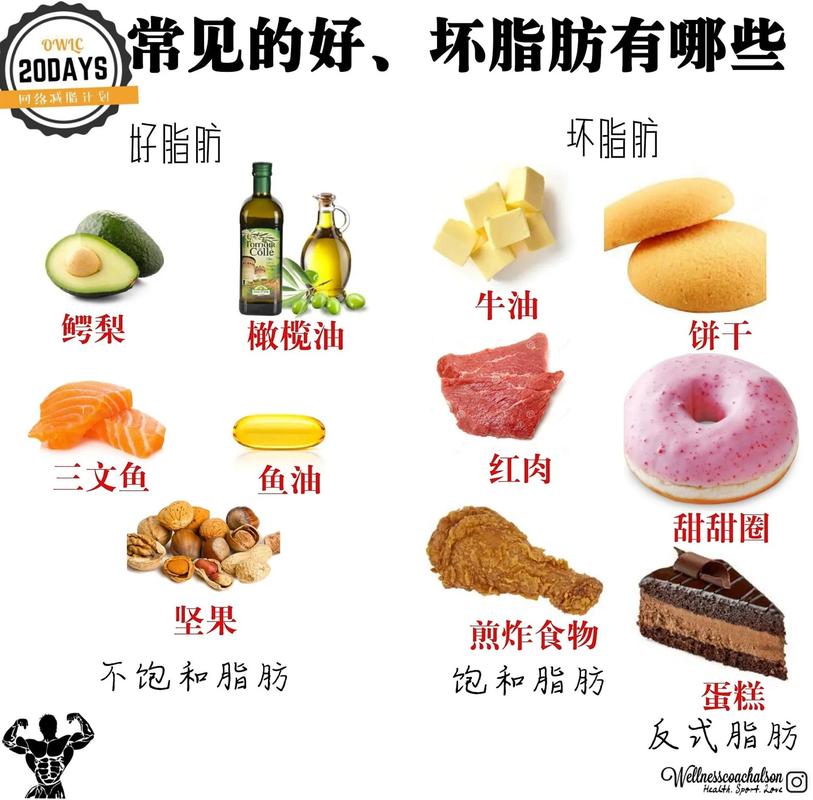 饱和脂肪对健康有益，我们是不是应该大量摄入呢？