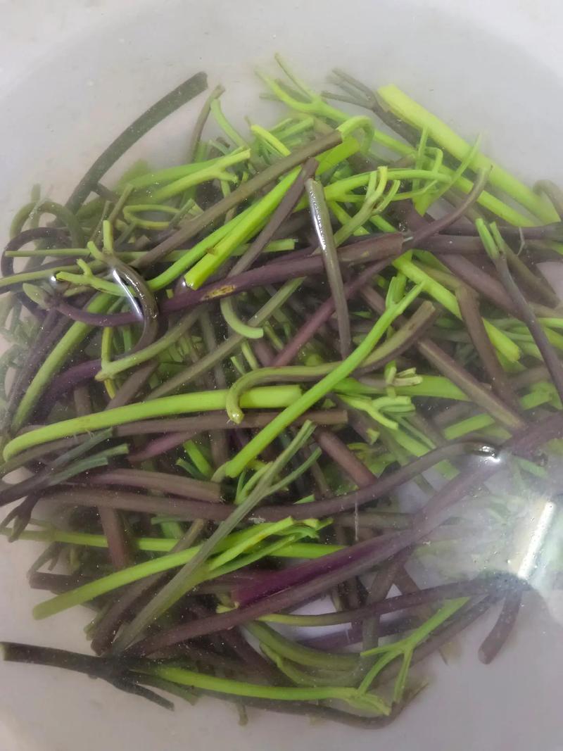 蕨菜减肥食谱有哪些做法？