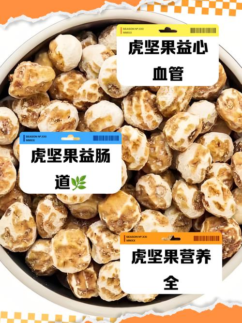 虎坚果真的既美容又营养吗？推荐给爱美人士试试看？