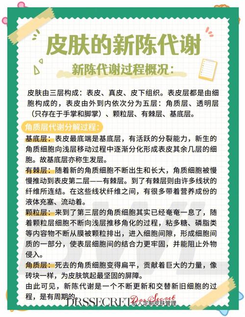 为什么说5大误区会干扰新陈代谢呢？
