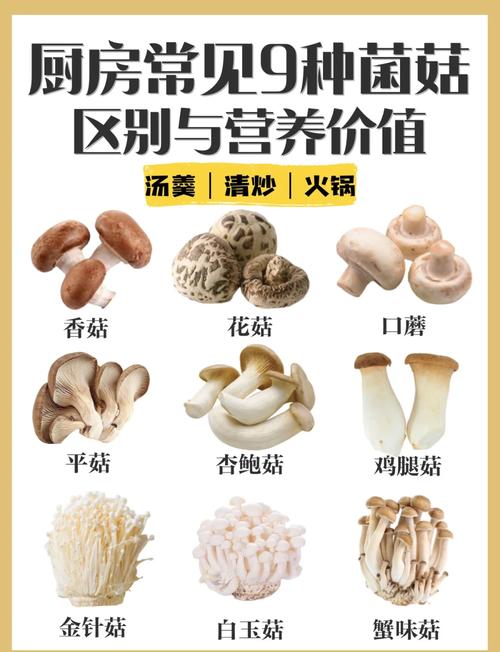 有哪些既营养又减肥效果好的食物，蘑菇是其中之一吗？
