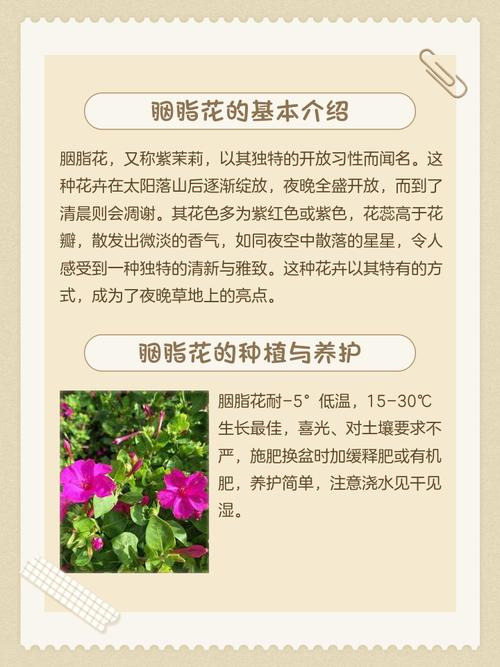 如何通过另类花朵瘦身方法有效对抗情绪性发胖？