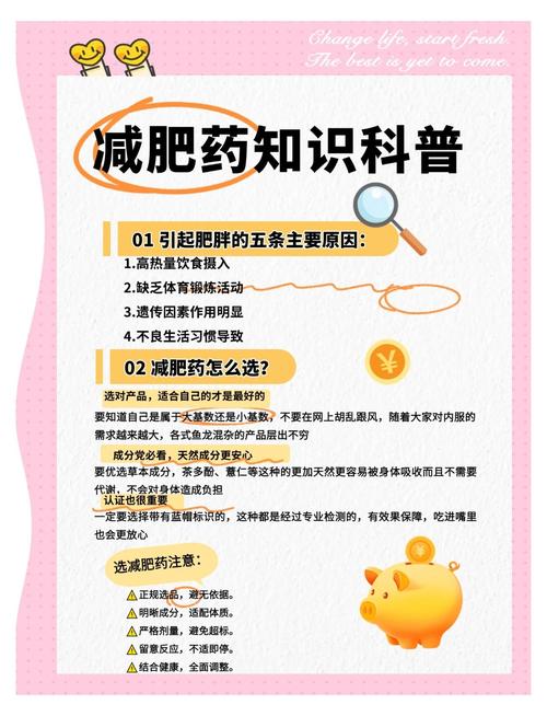 如何根据个人情况选择合适的娱乐物？
