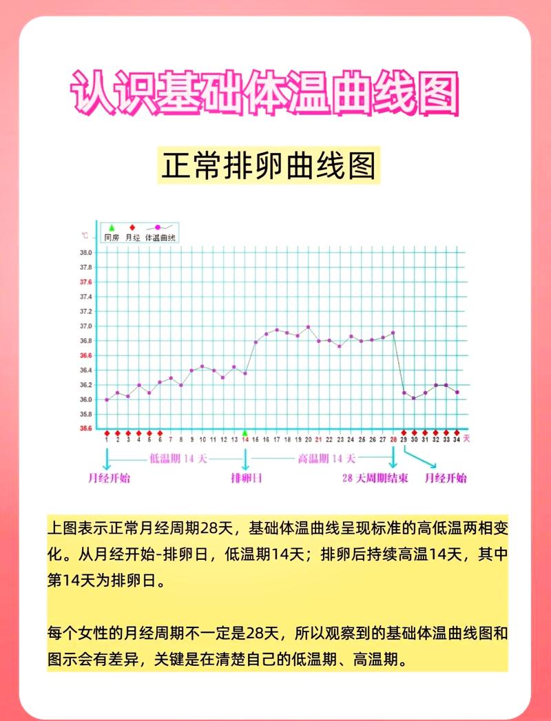 基础体温与基础代谢之间是否存在某种关联？