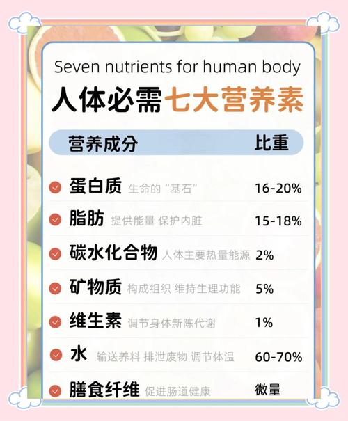 白领女性日常饮食中，哪些八大营养素是必须补充的呢？